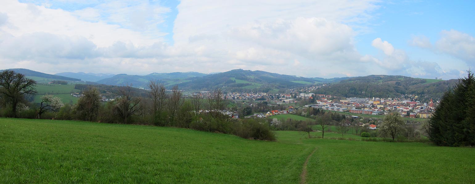 wiesenwienerwald